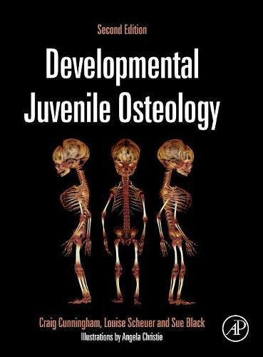 Cover image for Developmental Juvenile Osteology