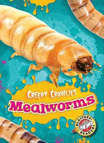 Mealworms