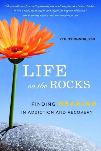 Cover image for Life on the Rocks: Finding Meaning in Addiction Recovery