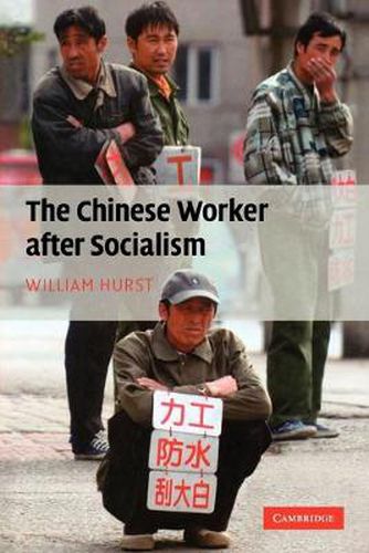 Cover image for The Chinese Worker after Socialism