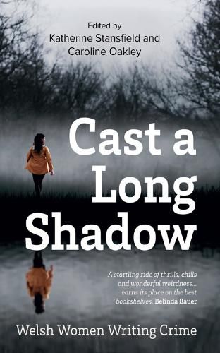 Cover image for Cast A Long Shadow