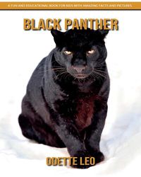 Cover image for Black Panther