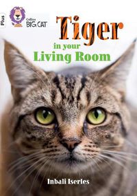 Cover image for Tiger in Your Living Room: Band 10+/White Plus