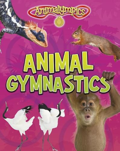 Cover image for Animal Gymnastics