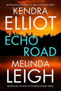 Cover image for Echo Road