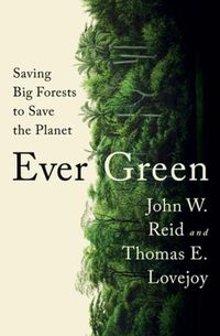 Cover image for Ever Green: Saving Big Forests to Save the Planet