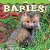 Cover image for Fox Babies!