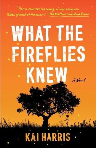 Cover image for What the Fireflies Knew