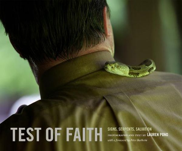 Cover image for Test of Faith: Signs, Serpents, Salvation