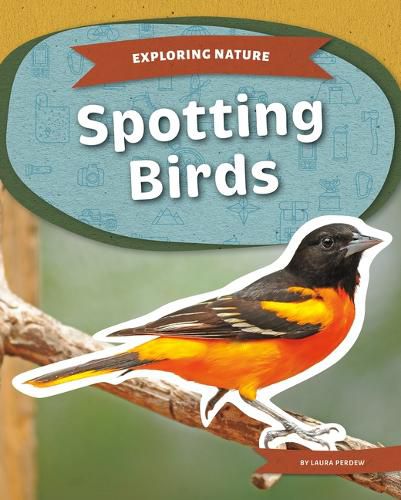 Cover image for Spotting Birds