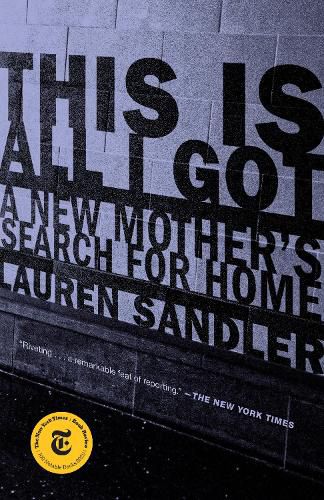 Cover image for This Is All I Got: A New Mother's Search for Home