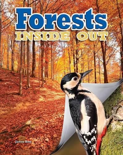 Cover image for Forests Inside Out