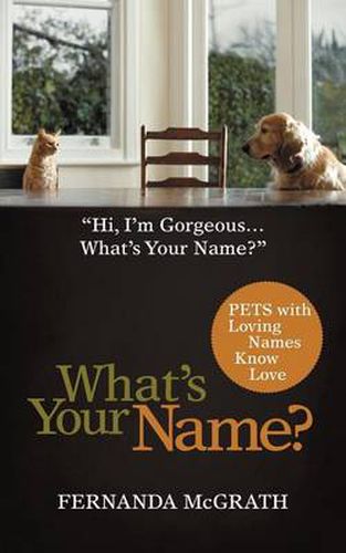 Cover image for What's Your Name?