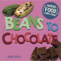 Cover image for Where Food Comes From: Beans to Chocolate