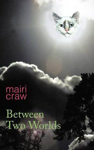 Cover image for Between Two Worlds