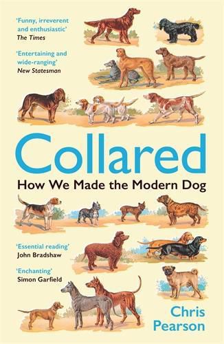 Cover image for Collared