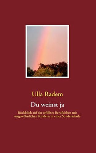 Cover image for Du weinst ja: Ruckblick auf ein erfulltes Berufsleben mit ungewoehnlichen Kindern in einer Sonderschule