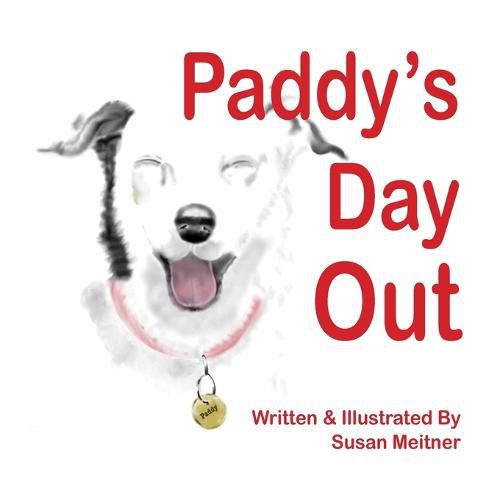 Cover image for Paddy's Day Out