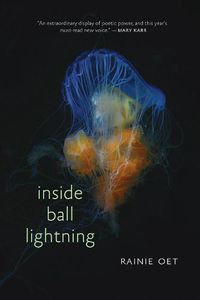 Cover image for Inside Ball Lightning