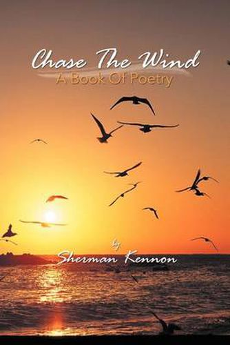 Cover image for Chase the Wind