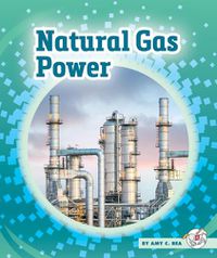 Cover image for Natural Gas Power