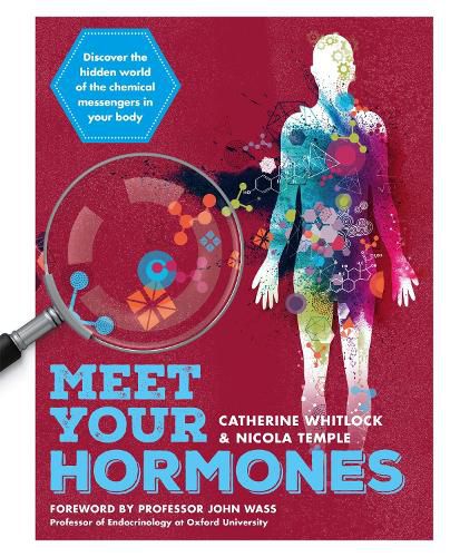 Cover image for Meet Your Hormones