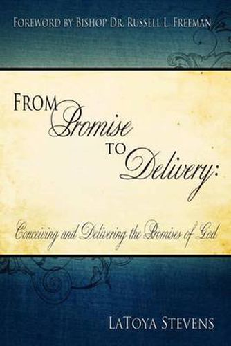 Cover image for From Promise to Delivery: Conceiving and Delivering the Promises of God