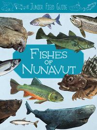 Cover image for Junior Field Guide: Fishes of Nunavut: English Edition