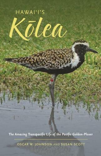 Cover image for Hawai'i'sK?lea: The Amazing Transpacific Life of the Pacific Golden-Plover