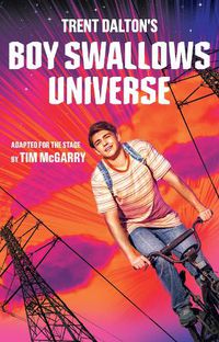 Cover image for Boy Swallows Universe Playscript