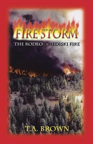 Cover image for Fire Storm
