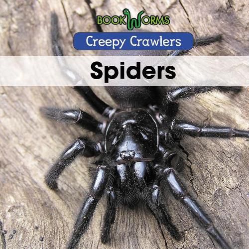 Cover image for Spiders