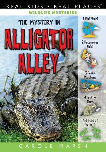 Cover image for The Mystery in Alligator Alley