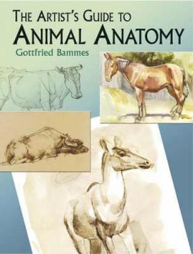 Cover image for The Artist's Guide to Animal Anatomy