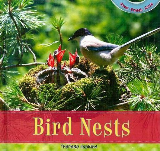 Cover image for Bird Nests