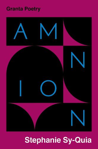 Cover image for Amnion