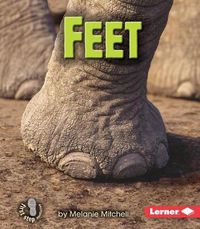 Cover image for Feet