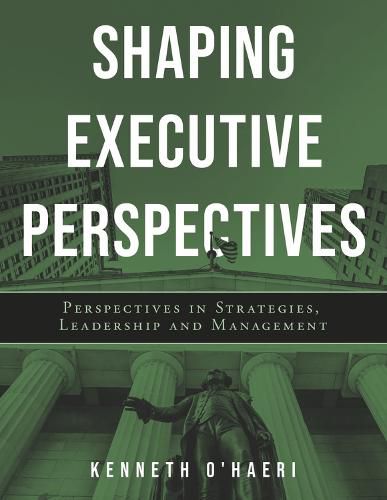 Cover image for Shaping Executive Perspectives