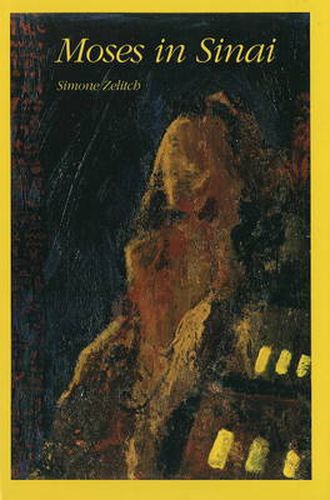 Cover image for Moses in the Sinai