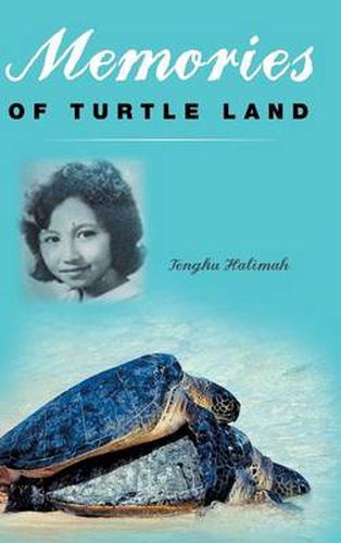 Cover image for Memories of Turtle Land