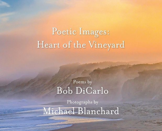 Cover image for Poetic Images