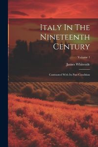 Cover image for Italy In The Nineteenth Century