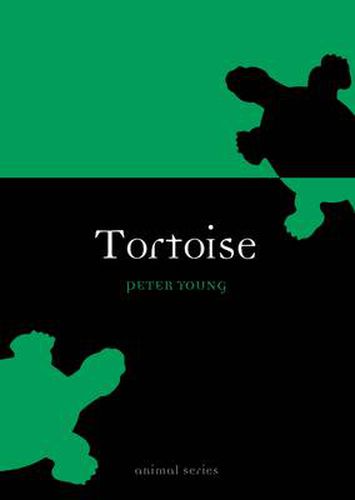 Cover image for Tortoise
