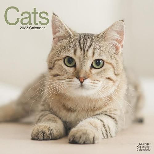 Cover image for Cats 2023 Wall Calendar