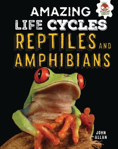 Reptiles and Amphibians