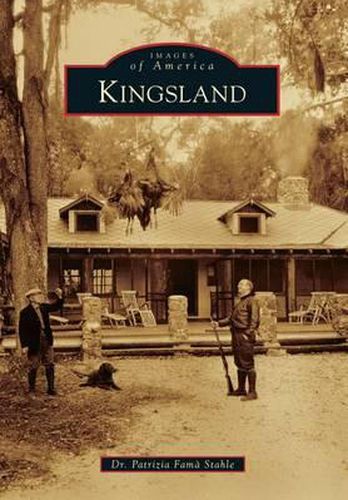 Cover image for Kingsland