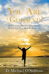 Cover image for You Are a Godsend!: Rediscover the Magnificent God-Given Mission You Were Born Remembering
