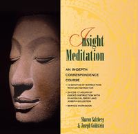 Cover image for Insight Meditation: An In-Depth Correspondence Course