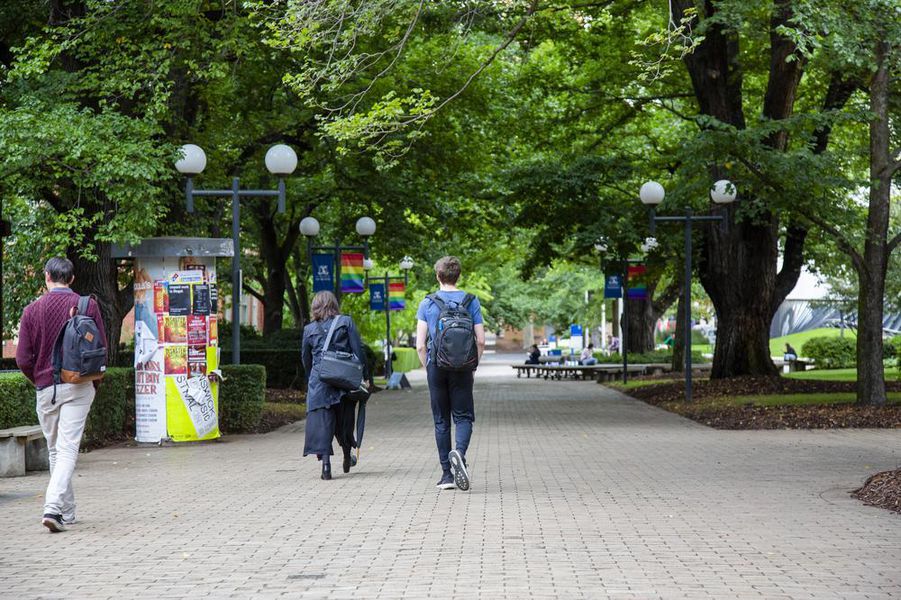 A photo of the pathway from the Potter Museum of Art towards the Glyn Davis Building.