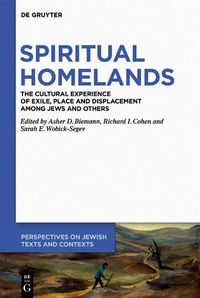 Cover image for Spiritual Homelands: The Cultural Experience of Exile, Place and Displacement among Jews and Others